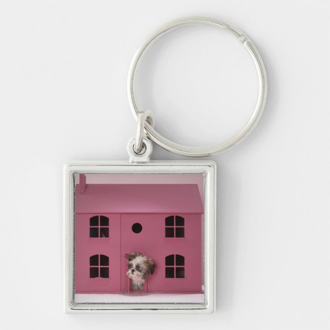 Puppy peering out of doll's house keychain (Front)