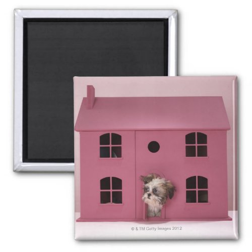 Puppy peering out of dolls house magnet