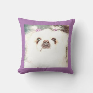 Puppy/pekingese throw pillow. pillow