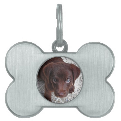 Puppy Pet ID Tag