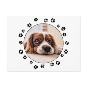 Puppy Photo Black Pawprints Postcard