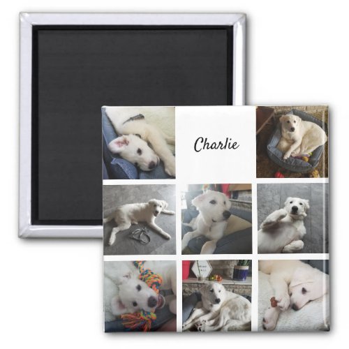 Puppy Photo Collage Cute Pet Magnet