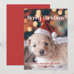 Puppy photo Merry Christmas  Holiday Card