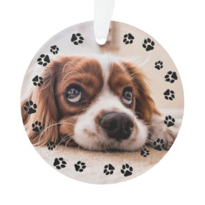 Puppy Photo Pawprints Ornament