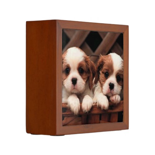 Puppy Pictures Desk Organiser