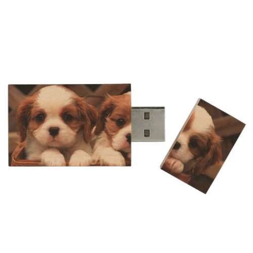 Puppy Pictures Flash Drive