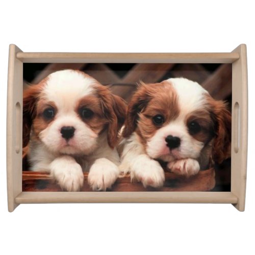 Puppy Pictures Serving Tray