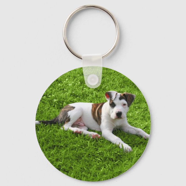 Puppy Pit Bull T-Bone Keychain (Front)