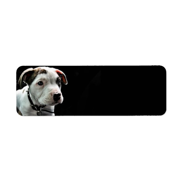 Puppy Pit Bull T-Bone Label (Front)