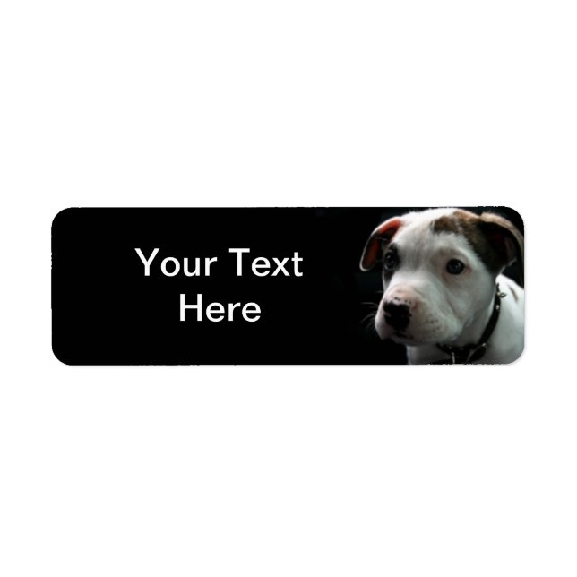 Puppy Pit Bull T-Bone Label (Front)