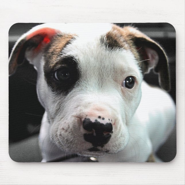 Puppy Pit Bull T-Bone Mouse Pad (Front)