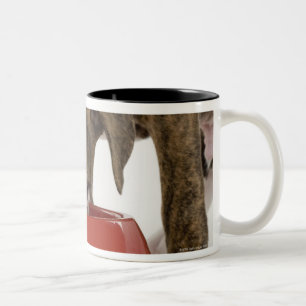 Puppy pitbull eating out of dish Two-Tone coffee mug