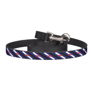 Puppy Play Pride Flag Pet Leash