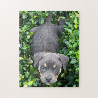 Puppy Playing In Bushes Puzzle