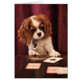 Puppy Plays Cards (Front)