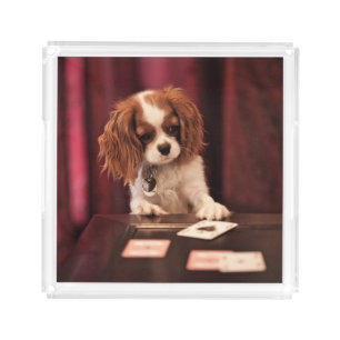 Puppy Plays Cards Acrylic Tray