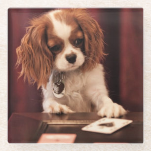 Puppy Plays Cards Glass Coaster