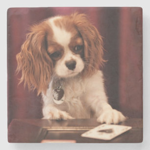 Puppy Plays Cards Stone Coaster