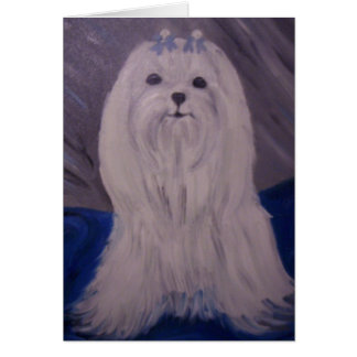 puppy portrait cards