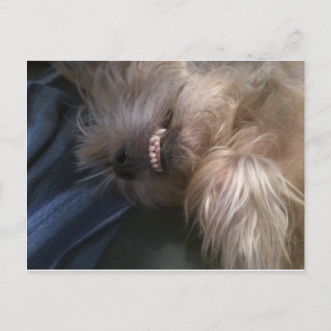 puppy postcard (Front)