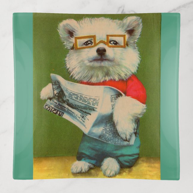 puppy reading the newspaper tray (Front)