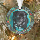 Puppy’s First Christmas Photo