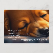Puppy Scripture Thinking Of You