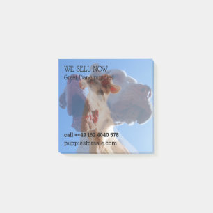 Puppy selling posted notes