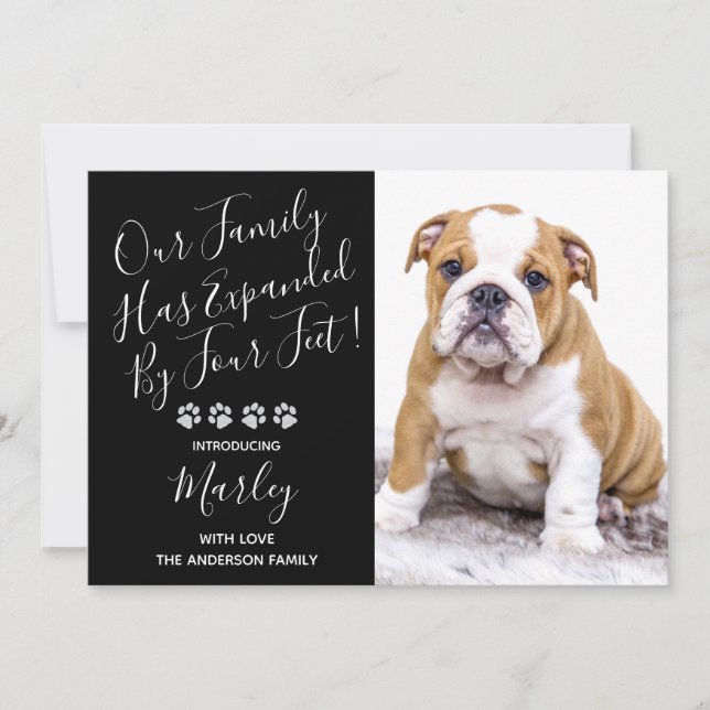 Puppy Shower Party - Black Elegant Modern New Pet Invitation (Front)