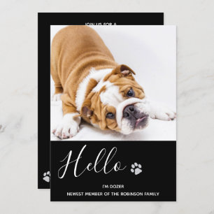 Puppy Shower Party - Elegant Black Modern New Pet Invitation