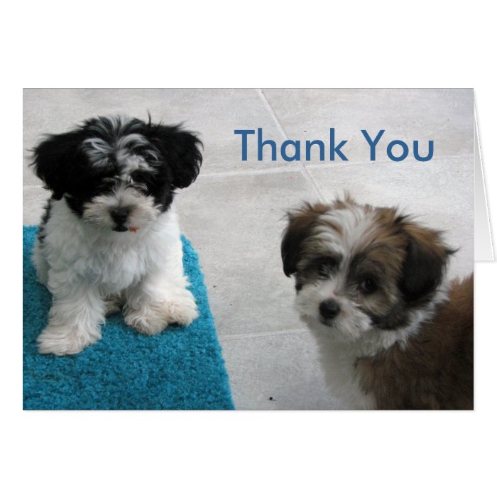 Puppy Sitting Thank You Card