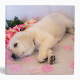 Puppy Sleep Flower 01 3 Ring Binder