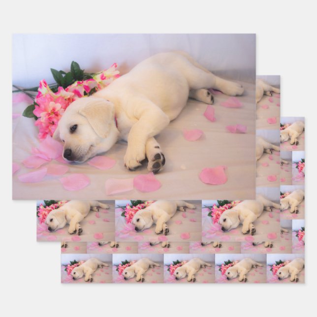 Puppy Sleep Flower 01 Wrapping Paper Sheets (Set)