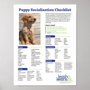 Puppy Socialization Checklist Poster