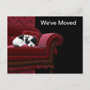 Puppy Sofa Change of Address Postcards