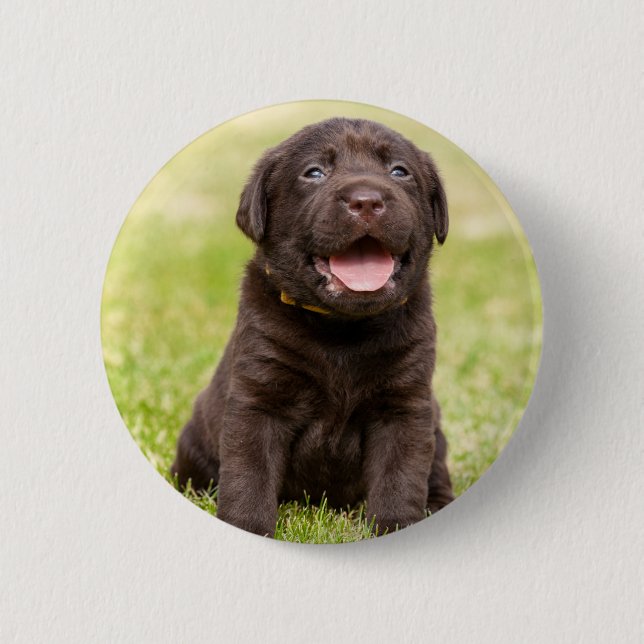 Puppy soft dog button (Front)