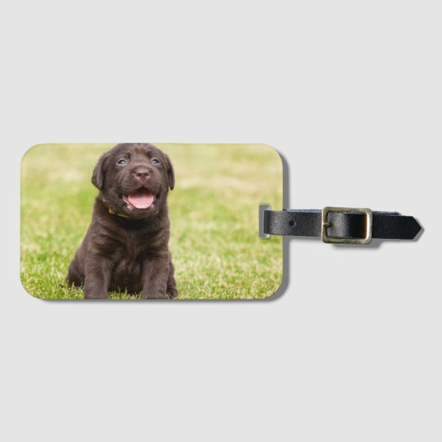 Puppy soft dog luggage tag (Front Horizontal)