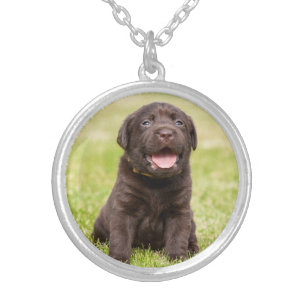 Puppy soft dog silver plated necklace
