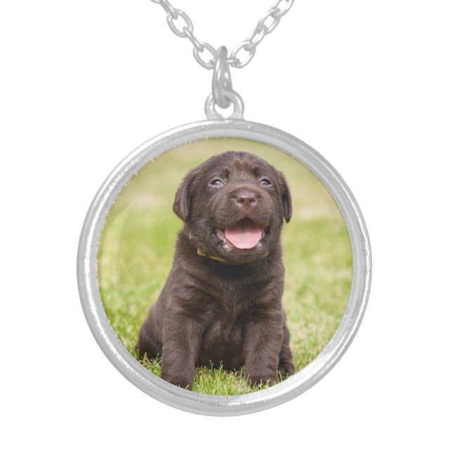 Puppy soft dog silver plated necklace (Front)