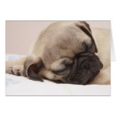 Puppy Soundly Sleeping (Front Horizontal)