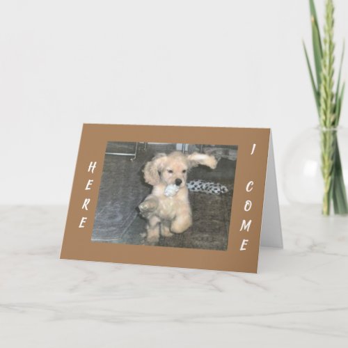 PUPPY SPANIEL CANT WAIT TO SAY HAPPY BIRTHDAY CARD