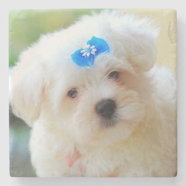 Puppy Stone Coaster (Front)