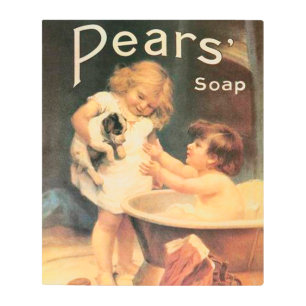 Puppy Taking A Bath Vintage Antique Metal Print