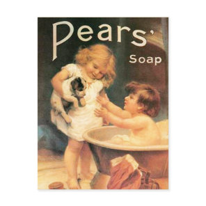Puppy Taking A Bath Vintage Antique Postcard