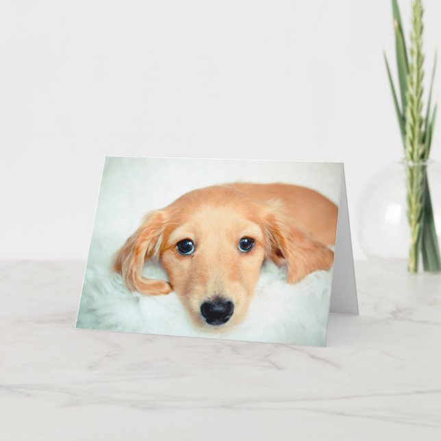 Puppy Thank you card (Front)