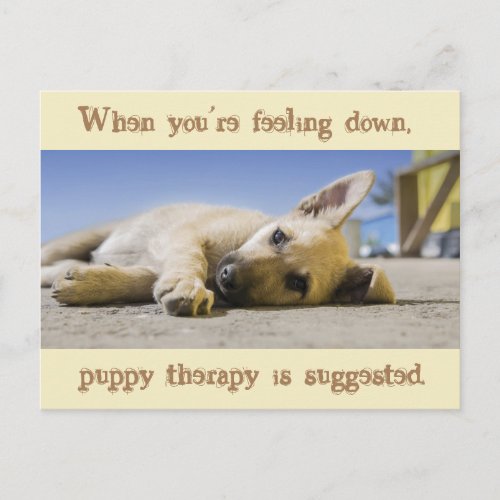 Puppy Therapy Dog Postcard