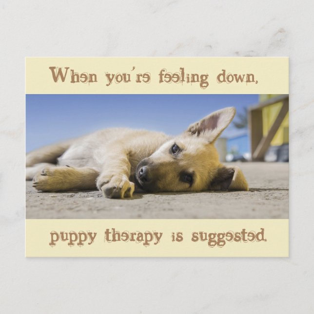 Puppy Therapy Dog Postcard (Front)