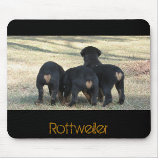 Puppy times three mouse pad