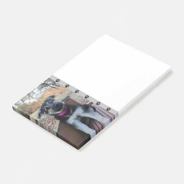 Puppy Waits on the Stairs Notes (Angled)