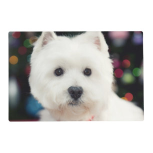 Puppy wearing Christmas bell on neck Placemat